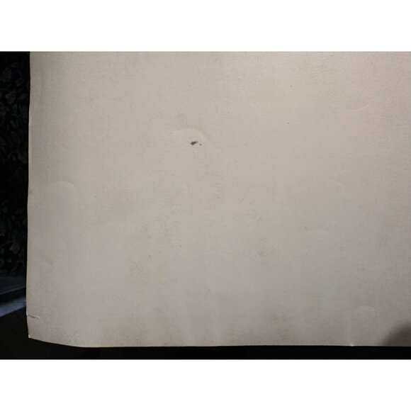 Vintage 1961 Susan Slade Movie Still Connie Stevens Bert Convy Photo - Picture 15 of 15